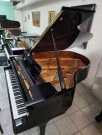 Fl&uuml;gel Fazioli Modell F183 general&uuml;berholt