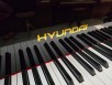 Flügel Hyundai Modell G-82 Länge 175cm neuwertig
