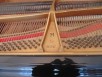 Flügel Steinway Modell M 170